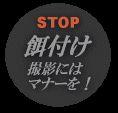 Stop餌付け・撮影にはマナーを！