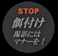 StopatEBeɂ̓}i[I