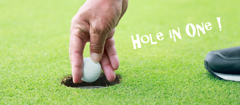 �z�[���C�������F��